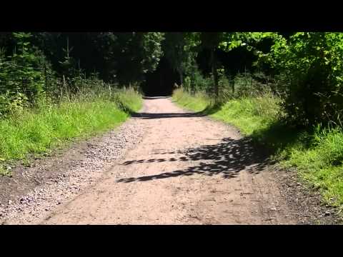 MongoTV_548 - Del 7 - MONGO TV 1 ÅRS FØDSELSDAG - Skovtur Torsdag 13.August 2015