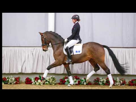 40  Dan Roy Wallach v. Dankeschön - Riccione