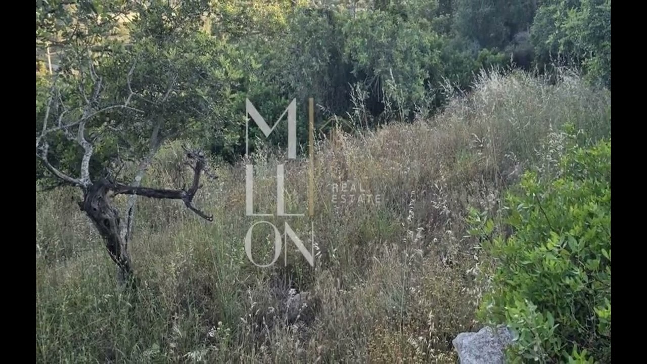 Vídeo do imóvel