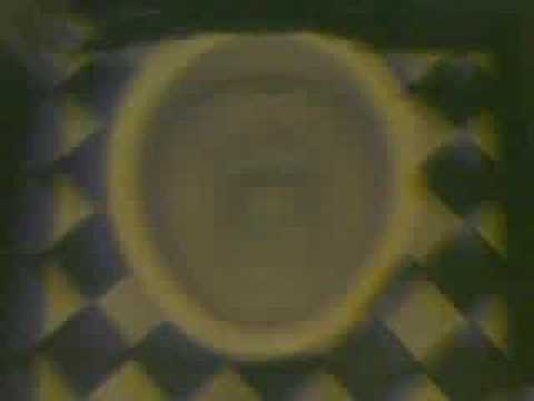 Shanks At Toto's Pizzaria