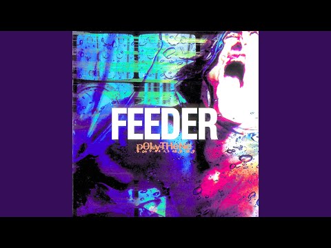 My Perfect Day - Feeder