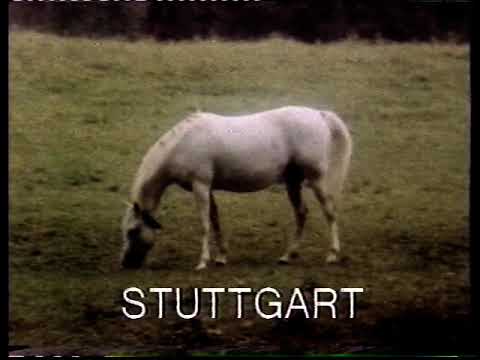 ARD 24.06.1983 Ansage Abendprogramm
