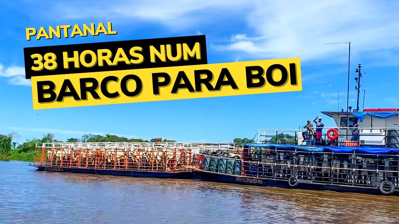 VOCÊ TERIA CORAGEM DE VIAJAR NUM BARCO DE CARREGAR BOI ? | 38 Horas Pelo Rio Paraguai | Pantanal