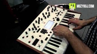 Video thumbnail for Modal Electronic 001 muzykuj.com by muzykujkropkacom