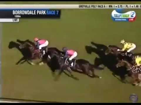 2017.06.25 Champion Juvenile Stakes (ZIM) - Flanders