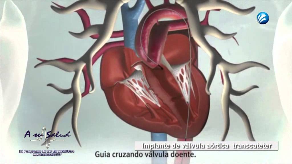 Julio César Rodríguez Gómez-8