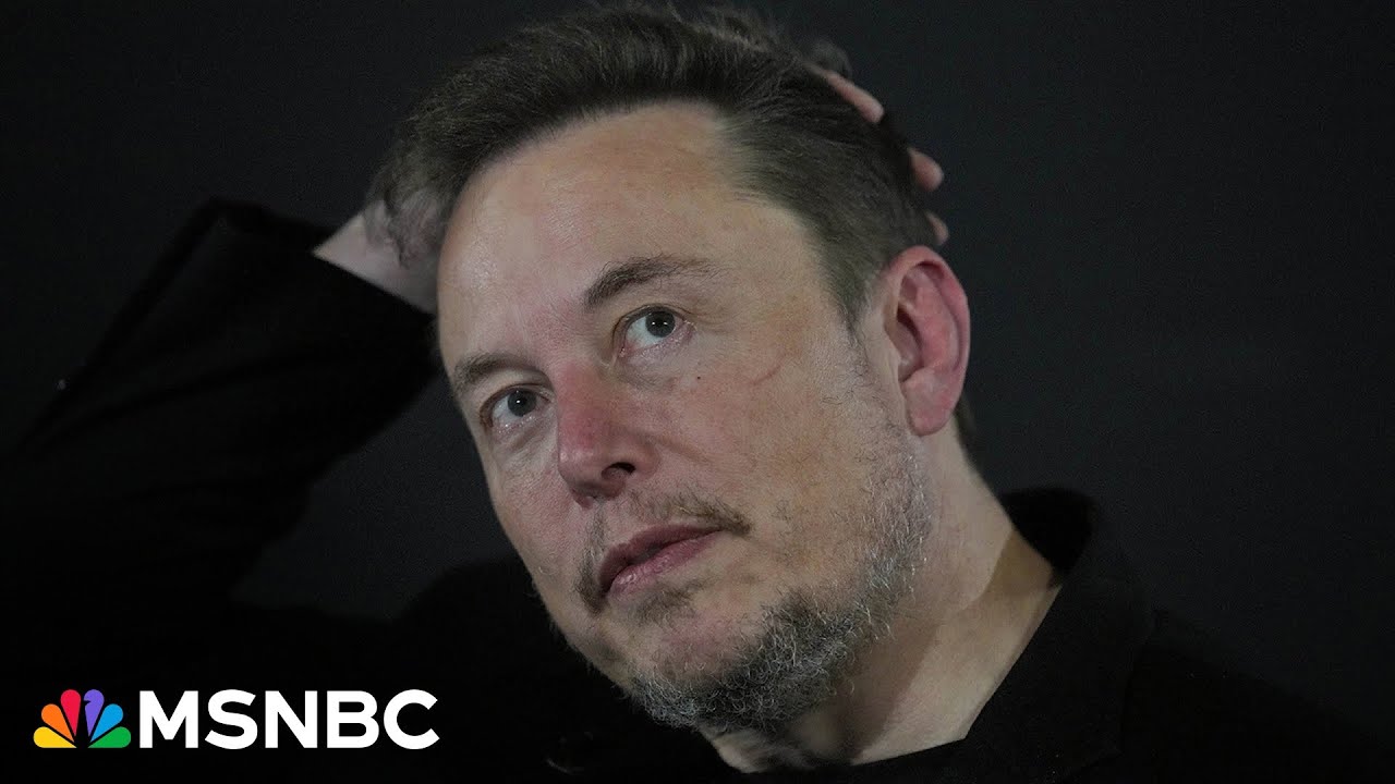 Can you sue Elon Musk? Rep. Raskin lays out class action lawsuit theory after Treasury data accessed