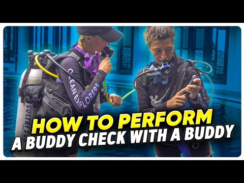 Scuba Diving: How to Perform a Buddy Check with a Buddy | PADI Scuba Skills