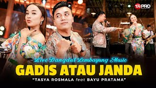 Download lagu GADIS ATAU JANDA - TASYA ROSMALA FT. BAYU PRATAMA (LIVE DANGDUT LEMBAYUNG MUSIC) mp3 Download lagu GADIS ATAU JANDA - TASYA ROSMALA FT. BAYU PRATAMA (LIVE DANGDUT LEMBAYUNG MUSIC) mp3