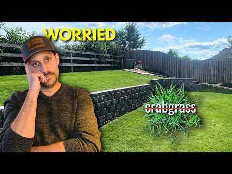 You Have Plenty Of Time To Apply Pre-Emergent To Prevent Crabgrass – Here’s Why