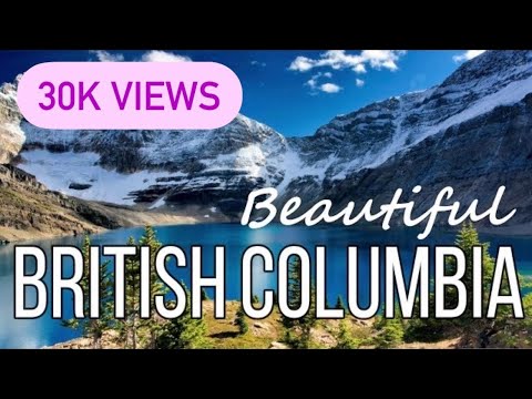 image-How many vacation days do you get in BC?