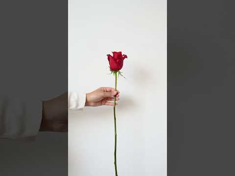 Hand flowers #hand #flowers #viralshorts