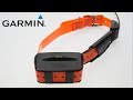 Support Troubleshooting GPS Reception Issues On A Dog Collar