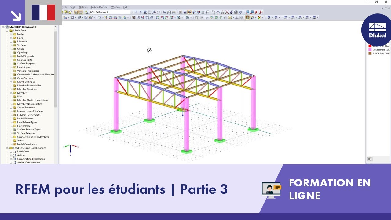 Formation en ligne | RFEM pour les étudiants | Partie 3