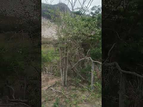 #espírito santo município de Água doce do Norte