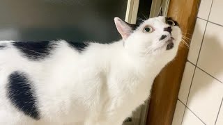 視線の先には