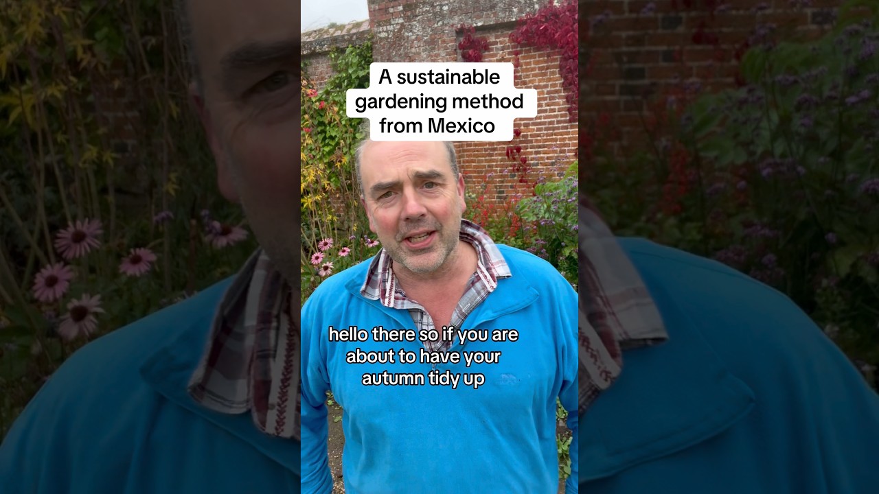 Devon Expert Champions Aztec Method for Sunflower Stem Repurposing