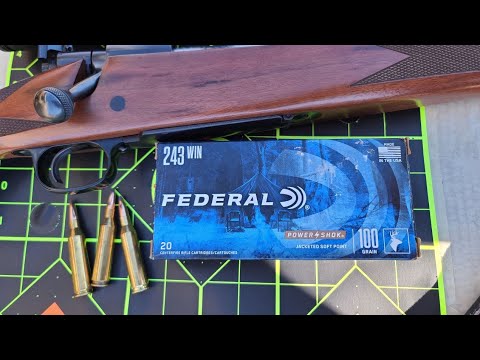Pretty Surprising! Federal Power-Shok 100gr .243 Test W/ Winchester Model 70 Short Action Carbine