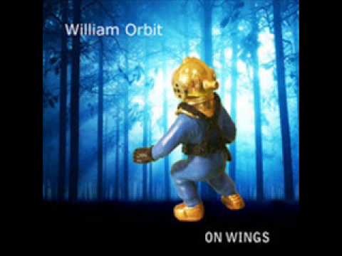 William Orbit / Strange Cargo 5 'On Wings'