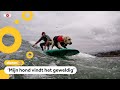 Welke hond kan het beste surfen?