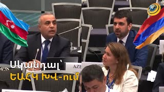 Ադրբեջանցիները սկանդալ են սարքել, իսկ Հայաստանի բոլոր առաջարկներն ընդունվել են ԵԱՀԿ ԽՎ-ում