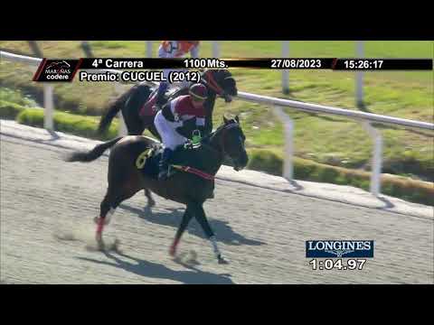 230827 c04 STORMING SEA (BRZ)