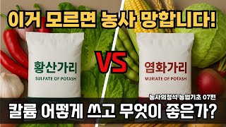 농사의정석 07편 염화가리 황산가리 차이점 효능과 사용방법 및 주의사항 농사기초