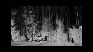 Styx - Man In The Wilderness