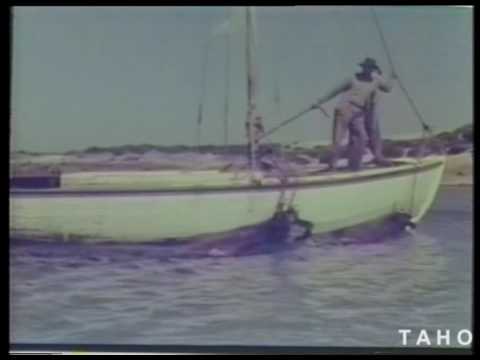 Cover image for Film - Blue Water Islands - life and conditions in the Furneaux group of Islands - transport, industry, social conditions/lifestyle, flora and fauna, floating cattle ashore, mutton birding