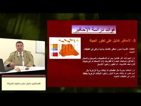 الجيولوجيا - الصف الثانى عشر - فوائد دراسة الاحافير