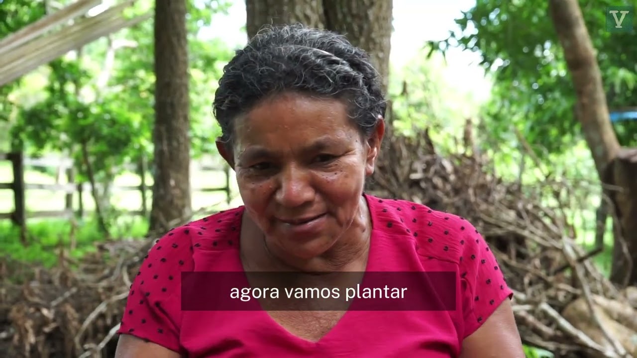 Uma Amazônia sem água e sem comida