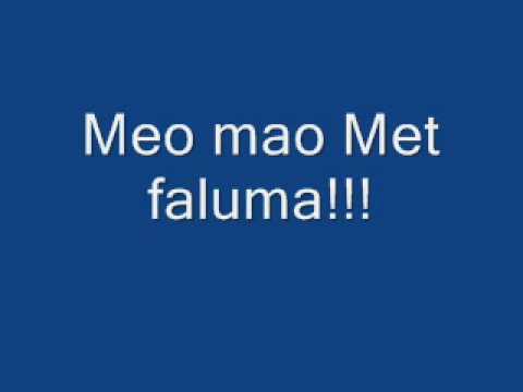 Meo mao faluma !!