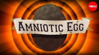 The game-changing amniotic egg - April Tucker
