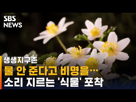 아이콘