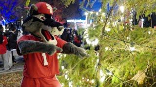 Stony Brook University 2025 Light the Brook Celebration
