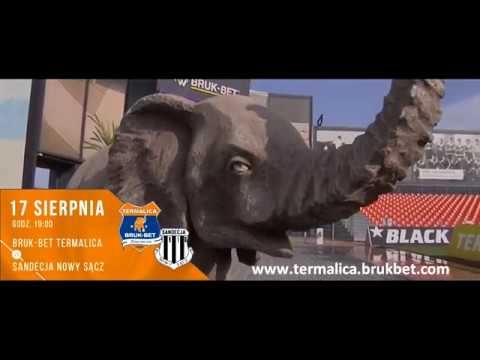 Bruk-Bet Termalica - Sandecja Nowy Sącz