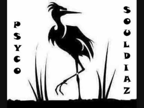 Taz feat. Paddzn - 16Linez