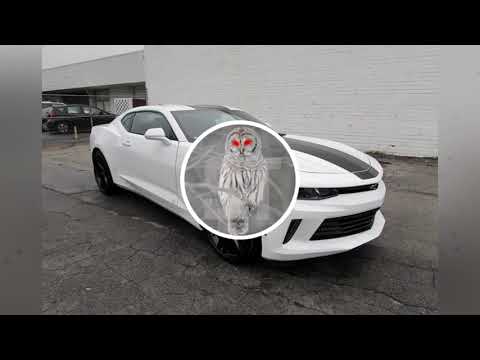 LEXA FEAT. GLORIA GROOVE - PROVOCAR [GRAVE BOOSTED]