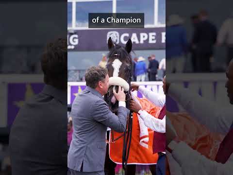 Double Superlative wins Gr1 Cape Met and retires to stud.