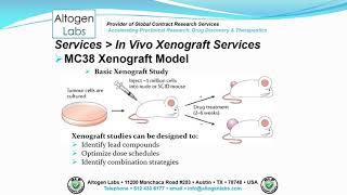 Altogen Labs MC38 Xenograft Service Colon Cancer