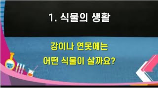 4학년 2학기 과학 : 강이나 연못에는 어떤 식물이 살까요?