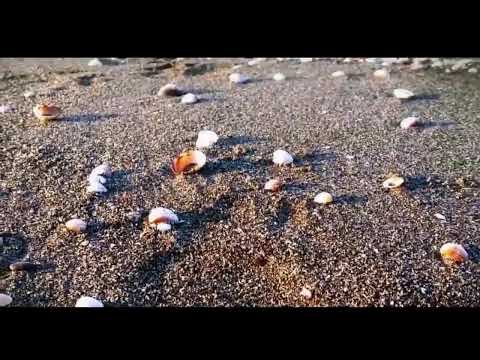 Jornal bom dia Itanhaém - 03/06