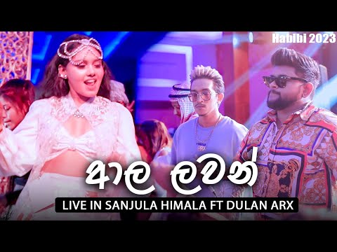 🔵 Aala Lawan | ආල ලවන් - Sanjula Himala ft Dulan ARX Live in HABIB I 2023 | VIRASH PRODUCTION | OLDS