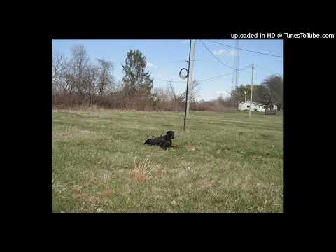 Radio Japan 2001.07.13 Viet Nam