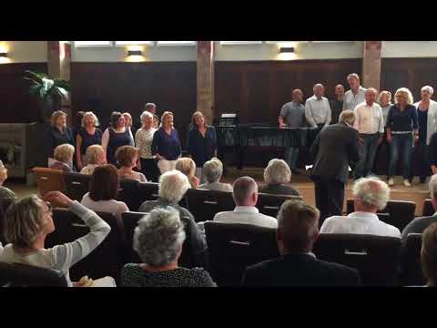 20180908 - Korentlint 2018 in Haarlem - Play that funky music