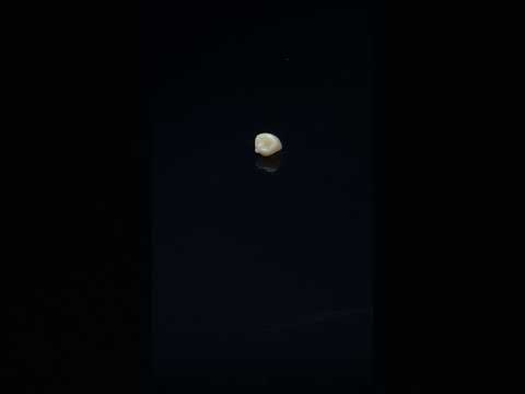 YouTube 썸네일