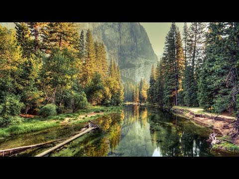 Jordi Roure — I Will Always Remember You (Original Mix)