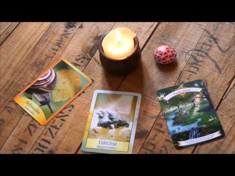 Wochenreading 14.-20.12.15