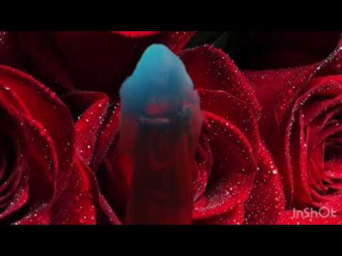 Jaguar Music Video