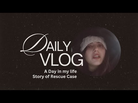 Sumbal Chughtai Story of rescue animal case #sialkot #pakistan